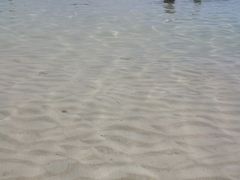 -洛克岛