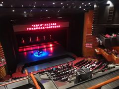 -顺德演艺中心大剧院