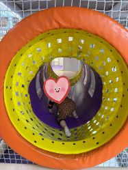 -奈尔宝家庭中心·亲子餐厅(华采天地店)