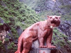-丽江虎跳峡景区-售票处