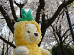 -不觉晓CAMPING(上海迪士尼营地店)