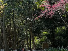 -火炉山森林公园
