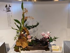 -人民公园(罗湖区)