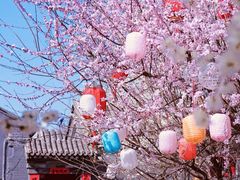 -三里河公园
