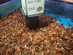 小龙虾-盒马鲜生(岭南新世界店)