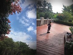 -仙岳公园