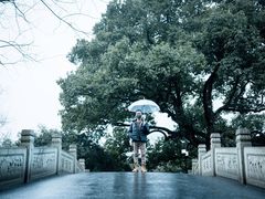 -苏堤停车场