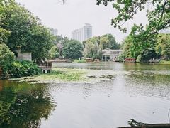 -荔湾湖公园