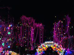 景点-惠州西湖