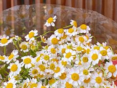 -The Flowers Coffee(南山店)