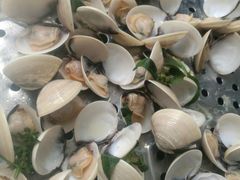 -海大大蒸汽海鲜餐厅·粤菜·特色小炒(欢乐颂店)