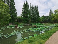 -乌村
