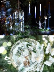 -天邑国际酒店·宴会厅