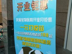 -关爱宠物医院·猫科中心·消化科(滨湖万达分院)