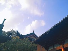 -灵谷景区