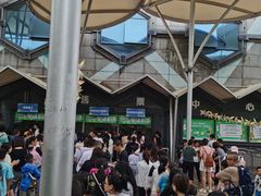 -巴克创奇梦工厂