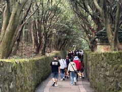 -普陀山风景区-佛顶山