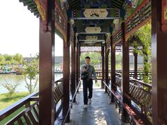 -大名府