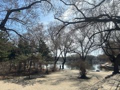 -北陵公园