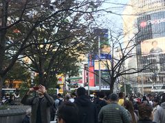 -涩谷区