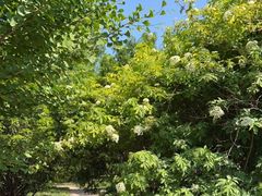 -国家植物园南园