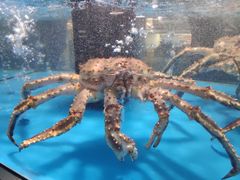 -麦德龙(郑东店)