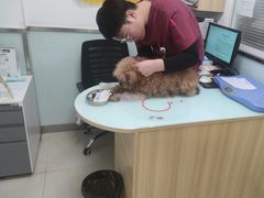 -宠福鑫康馨动物医院·骨科·眼科