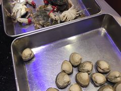 -鲜鲜·鲅鱼圈海鲜(于洪店)