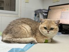 -宠颐生汉谟拉比宠物医院