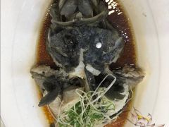 清蒸青斑鱼-鑫悦楼煎蟹·16年海鲜大排档
