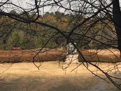 -秦始皇帝陵博物院-丽山园