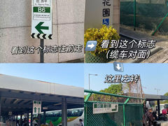 -昂坪360缆车