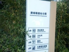 -唐城墙遗址公园