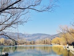 -香山公园