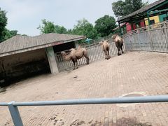 -无锡动物园·太湖欢乐园