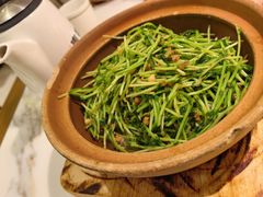 砂锅豌豆苗-春家·非遗手工小吃(徐汇万科广场店)