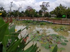 景点-凤岭儿童公园