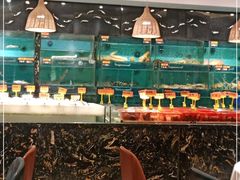 -潮粤香海鲜酒楼(沙湖店)