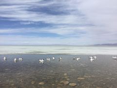 -青海湖国家重点风景名胜区