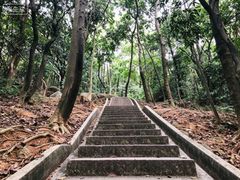 -龙头山森林公园·停车场