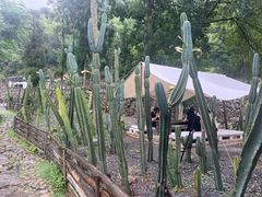 -MOJ coffee(瓯海泽雅水碓坑店)