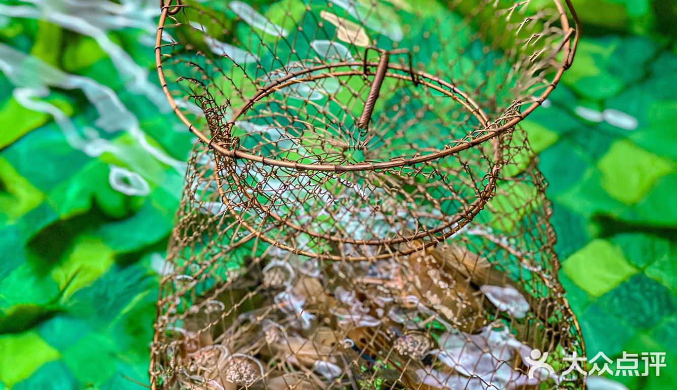 周末可以带着宝宝一起逛吃的钓虾馆🎣