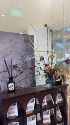 -鲸彩·美甲美睫科技护肤