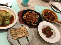 -大树餐厅(红旗街万达店)