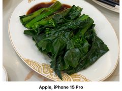耗油菜心-香港麦奀云吞面世家(中山二路店)