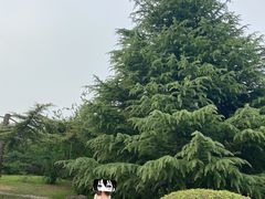 -长安大学(北校区)