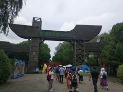 -溱湖国家湿地公园