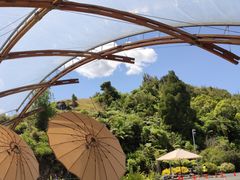 -怀托摩萤火虫洞