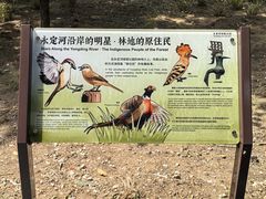 -绿堤公园