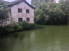 -乌镇景区